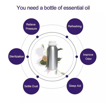 Factory Wholesale Price Aroma Scent Fragrance Oil for Machine